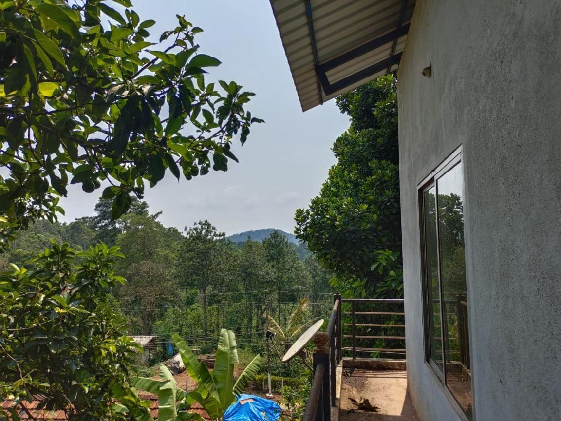 Green Land Estate Homestay 5 Rooms With Garden View Madikeri Exterior foto
