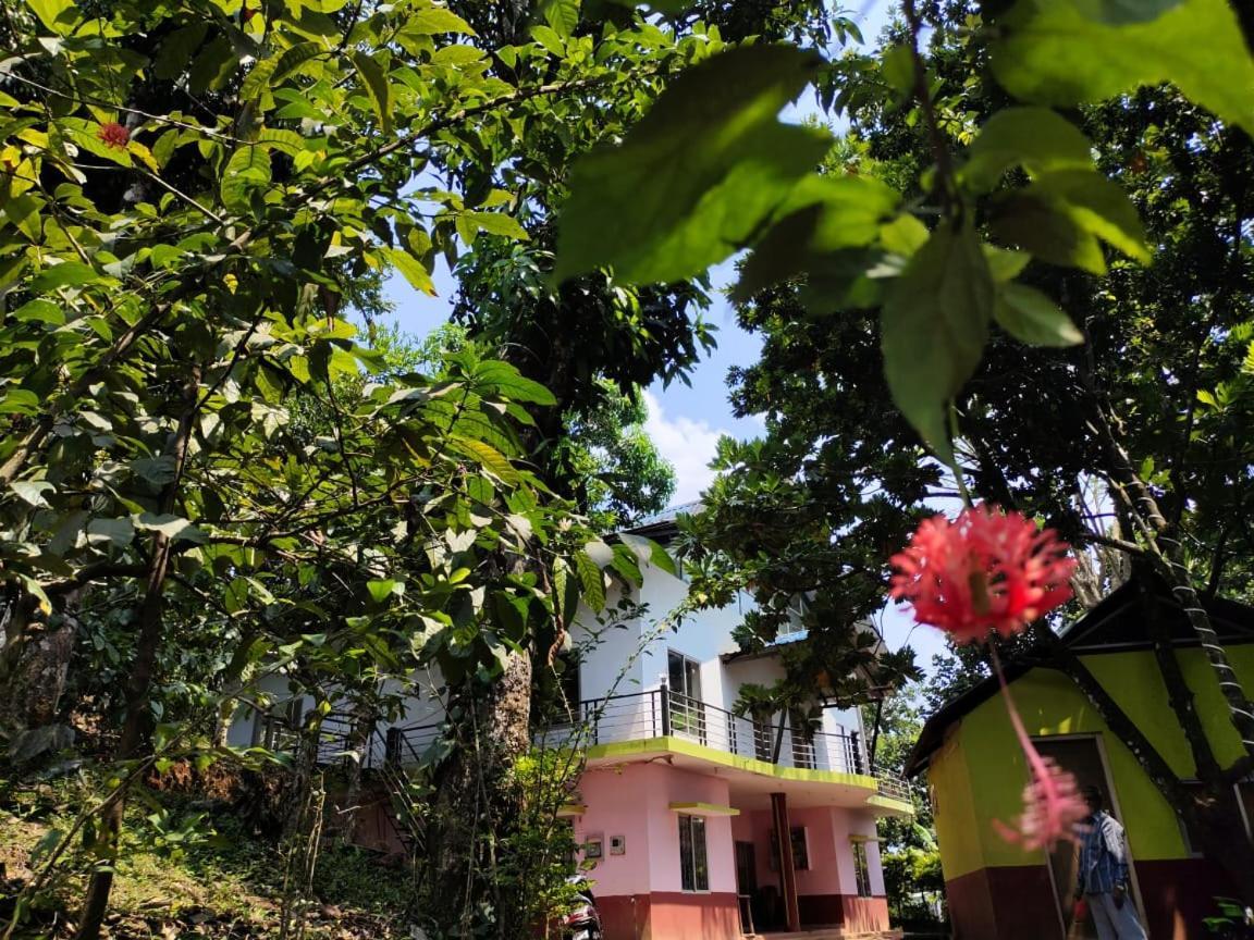 Green Land Estate Homestay 5 Rooms With Garden View Madikeri Exterior foto