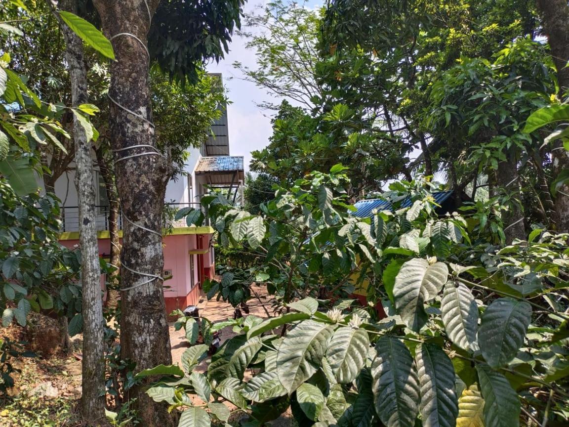 Green Land Estate Homestay 5 Rooms With Garden View Madikeri Exterior foto