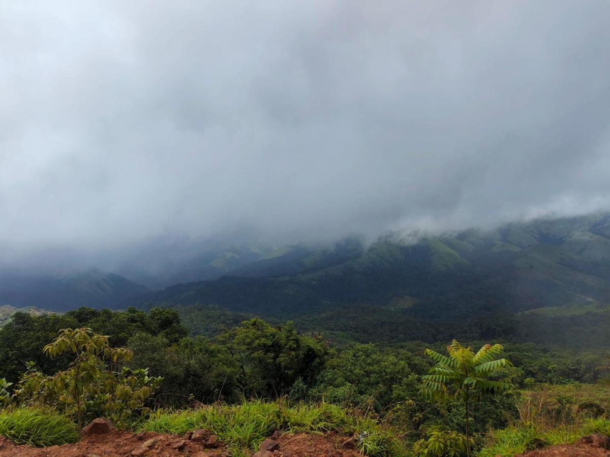 Green Land Estate Homestay 5 Rooms With Garden View Madikeri Exterior foto
